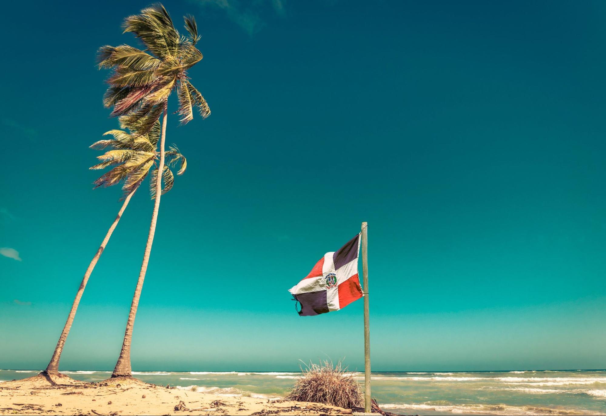 Sandy beach, palm tree and Dominican Republic flag